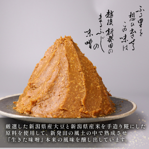 みそ フジタの糀みそ 1kg 3個【 藤田味噌糀店 みそ みそ みそ みそ みそ みそ C56_01 】