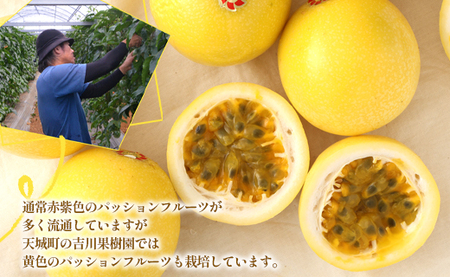 【2026年発送】先行受付 徳之島 天城町産 【家庭用】 イエローパッションフルーツ 約2kg（サイズ混合） 吉川果樹園  パッションフルーツ 混合サイズ イエロー フルーツ 果物 AB-37-N
