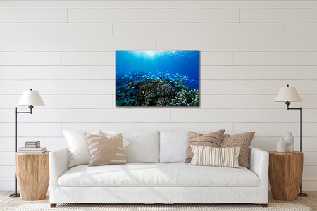 清水町ふるさと大使　海洋生物写真家　峯水亮氏による　作品パネル　Shallow coral reefs and fishes（_MG_2031_A3W）