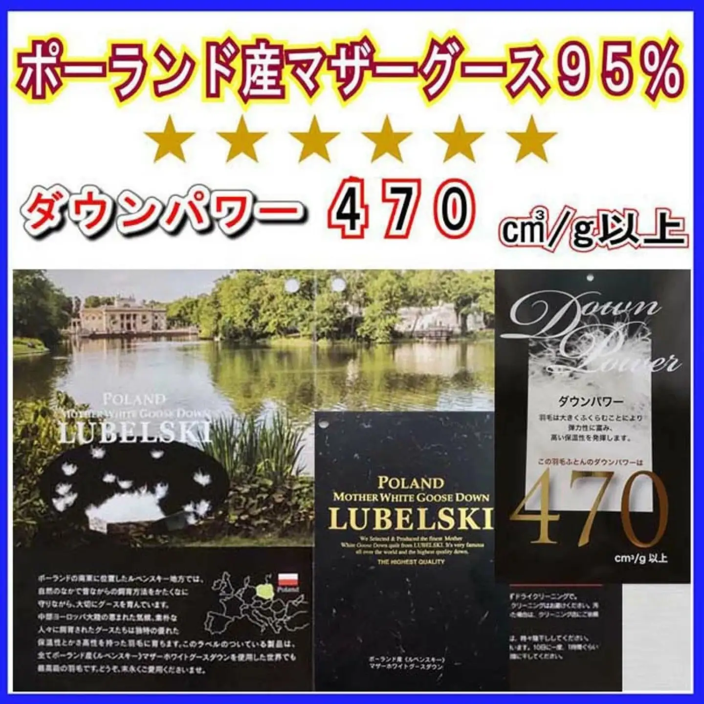 羽毛布団 シングル 羽毛掛け布団 ポーランド産マザーグース95％【立体ＳＰ】 ダウンパワー470 CK429
