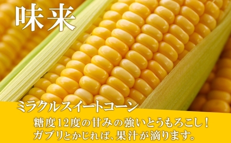 【 2026年 出荷 】 北海道産 朝もぎ イエロー とうもろこし 味来 みらい 2Lサイズ 26本 約10kg 夏野菜 とうきび 新鮮 野菜 トウモロコシ 甘い ギフト 産地直送 コーン 産直 グリーンアースファーム