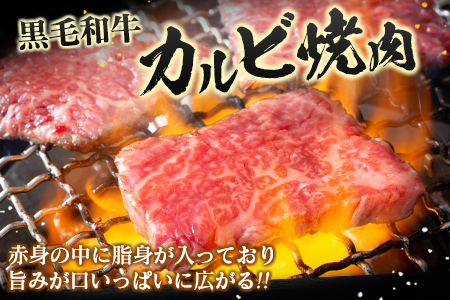 宮崎県産黒毛和牛 カルビ焼肉700g＆戸村のたれセット【C409】