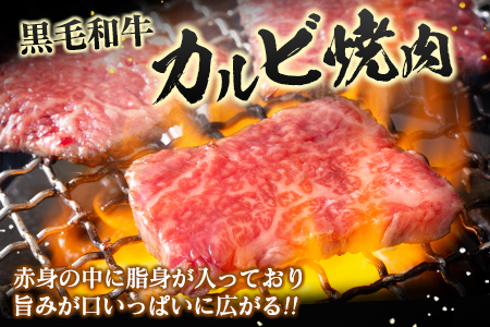 宮崎県産黒毛和牛 カルビ焼肉500g＆戸村のたれセット【C410】