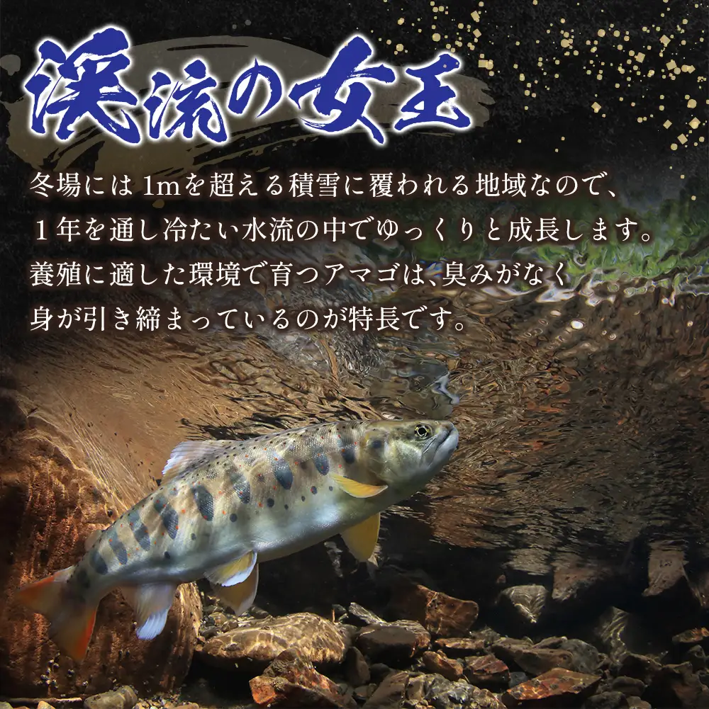 「渓流の女王」芸北アマゴ　5尾セット_OG065_001