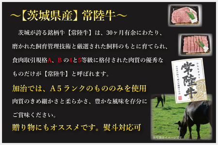 DT-49【常陸牛A5ランク】カレー３袋＋【美明豚】カレー３袋