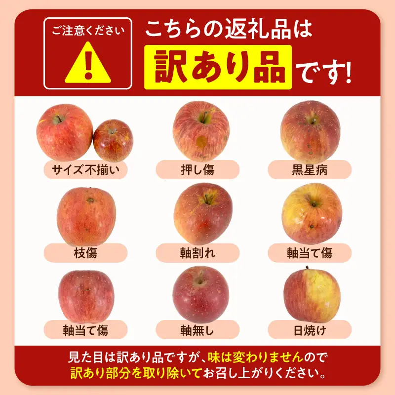 2026年産 ※訳あり※ サンふじ満杯詰 約4.5kg サンふじ
