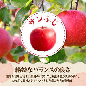 【2026年産】りんご サンふじ 5kg 秀品 化粧箱入 りんご