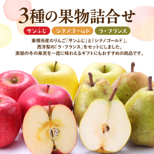 【2026年産】サンふじ&シナノゴールド&ラフランス3kg秀品 りんご