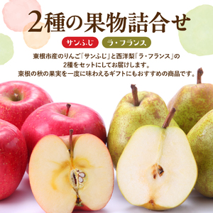 【2026年産】サンふじ&ラフランス5kg 秀品 化粧箱入 りんご 梨