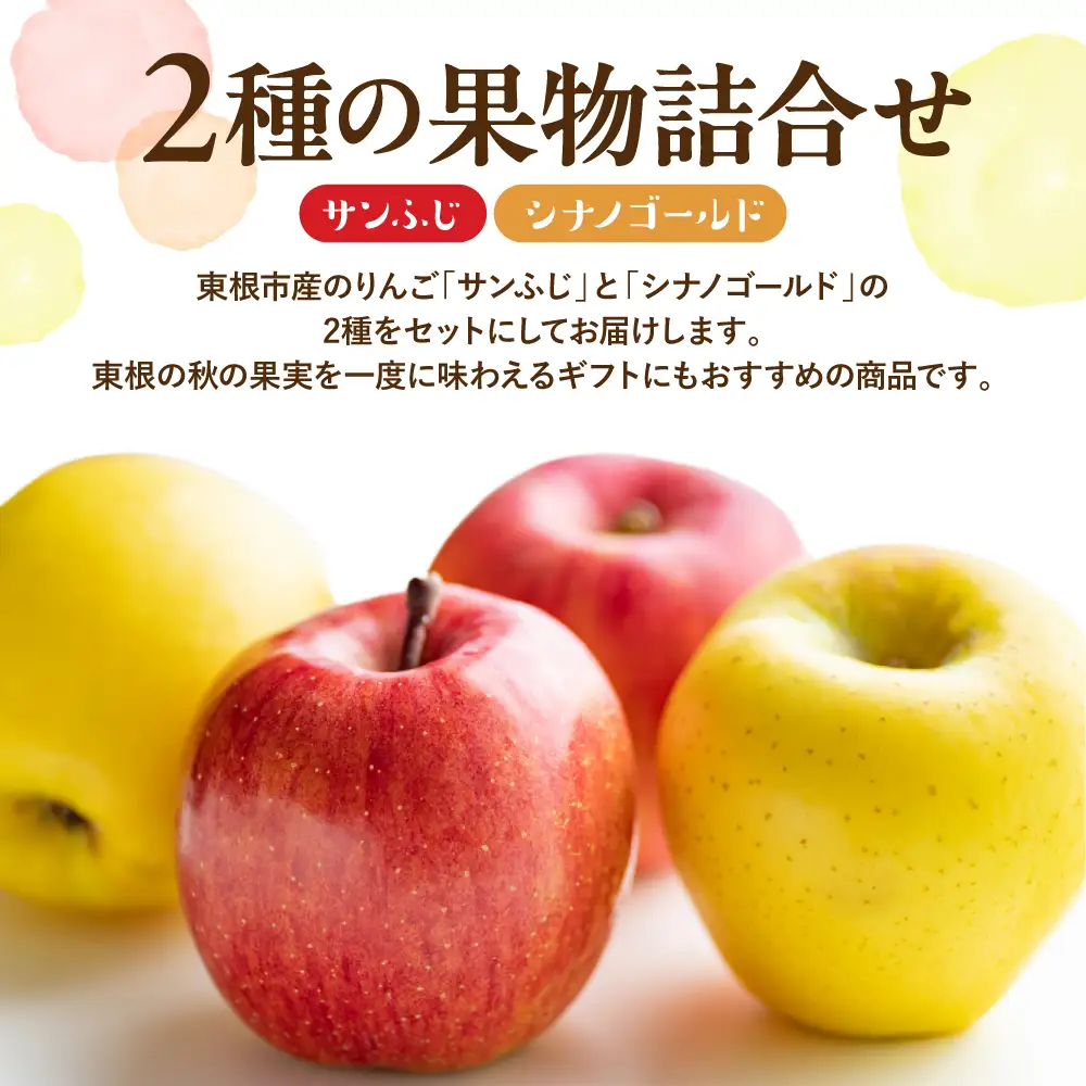 【2026年産】りんご サンふじ&シナノゴールド 詰め合わせ 3kg 秀品 化粧箱入り 山形県 東根市 東根農産センター提供 hi027-208-r8 （リンゴ 林檎 サンふじ シナノゴールド 詰め合わせ セット アップル フルーツ 果物 くだもの クダモノ 秋 旬 お試し お取り寄せ 産地直送 ご当地 特産 グルメ 送料無料 東北 山形県 東根市 人気 ふるさと納税）
