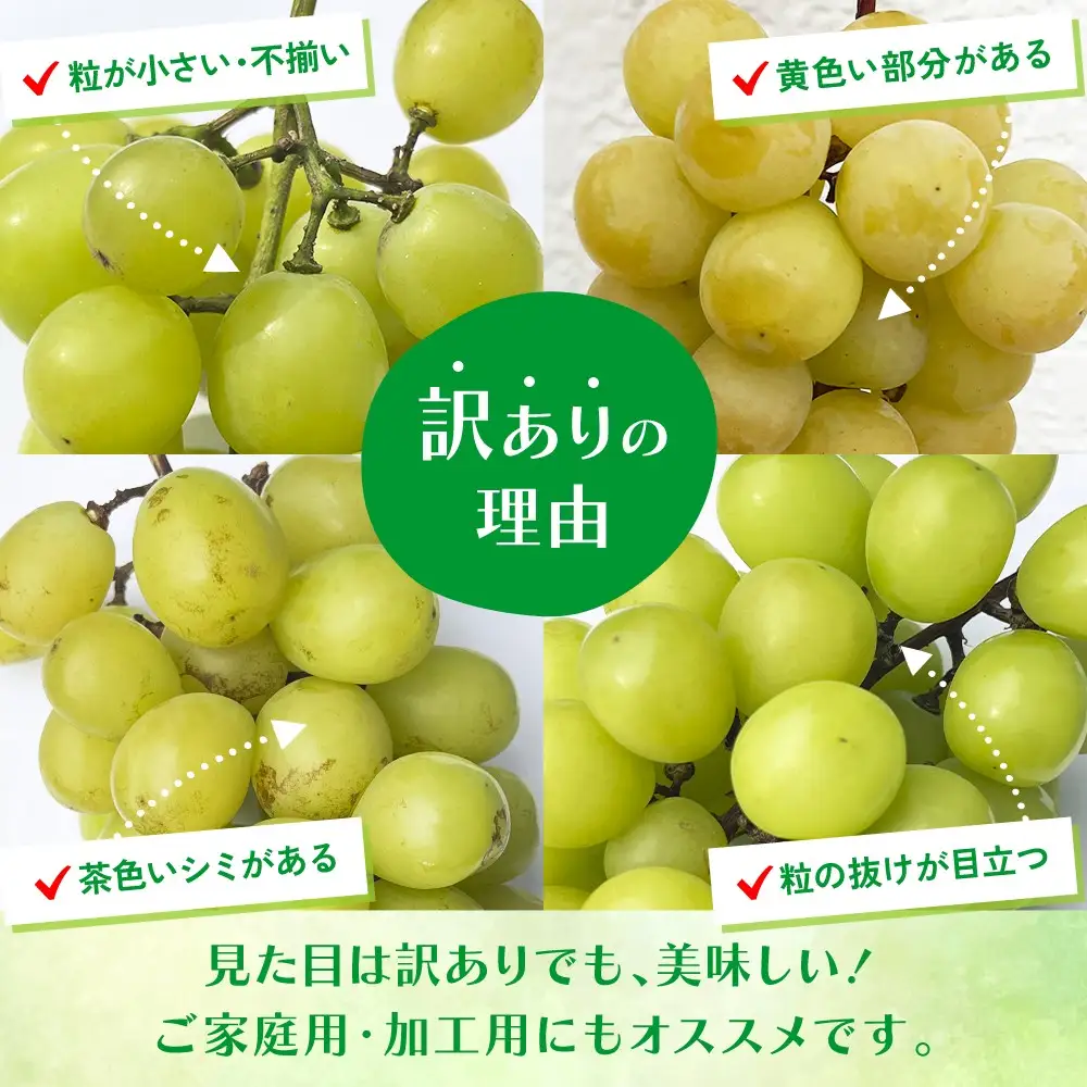【2026年発送★先行予約】【訳あり】 シャインマスカット 2～3房 約1kg ※クール便　154-027-26y | 不揃い ご自宅用 ご家庭用 フルーツ 果物 高評価 人気 ランキング おすすめ 甘い 美味しい デザート 数量限定 送料無料 山梨県産 笛吹市 ぶどう 「販売」 KEIPE株式会社