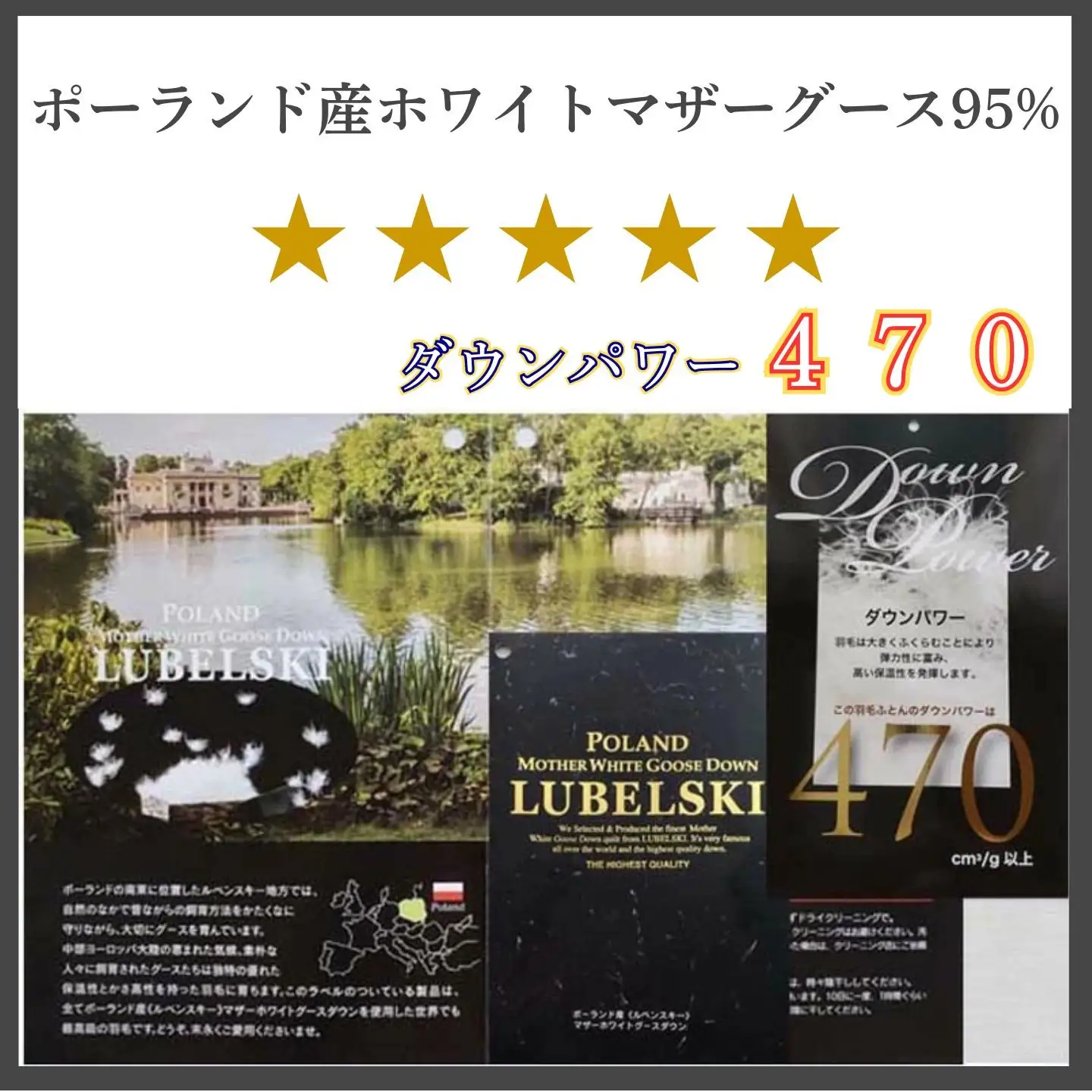 訳あり 羽毛布団【ポーランド産マザーグース９５％】【ダウンパワー４７０】羽毛掛け布団 CK434