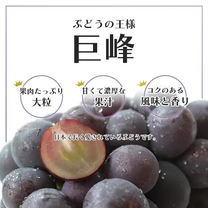 【2026年発送★先行予約】 巨峰 2～3房 約1.2kg ※クール便　154-026-26y | フルーツ 果物 高評価 人気 ランキング おすすめ 甘い 美味しい デザート 数量限定 送料無料 山梨県産 笛吹市 ぶどう 「販売」 KEIPE株式会社