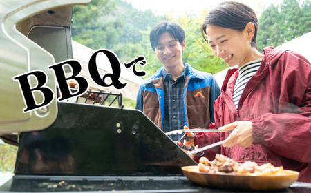 ラム肉 串 ヤンロウチュアン 30本 | ラム肉 アウトドア キャンプ BBQ