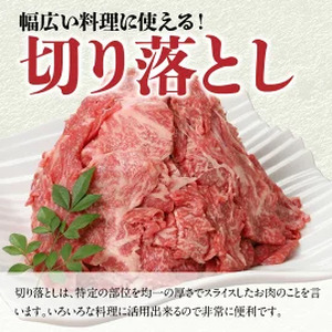 宮崎牛切り落とし1kg N0140-YA870