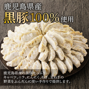 黒豚100%ギョウザ（10個入×8パック） K189-003 肉 豚肉 惣菜 総菜 冷凍 餃子