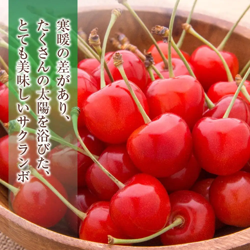 【先行予約】農家直送！ 小分けで食べやすい「佐藤錦」L~2Lサイズ バラ詰め720g（180g×4）（2026年7月上旬から）近澤果樹園 | さくらんぼ さくらんぼ_00750