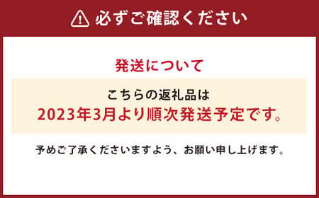 半袖ボタンダウン白Mサイズ HITOYOSHI シャツ