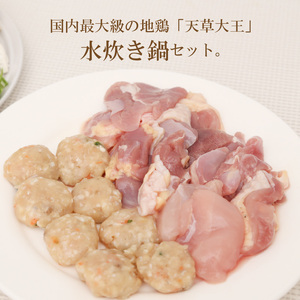 S011-014A_天草大王鍋セット(天草大王鶏肉・天草大王濃縮スープ・天草大王つみれ等)  /鶏肉 鍋 地鶏 なべ 地鶏鍋 水炊き 鶏肉 鍋 地鶏 なべ 地鶏鍋 水炊き 鶏肉 鍋 地鶏 なべ 地鶏鍋 水炊き 鶏肉 鍋 地鶏 なべ 地鶏鍋 水炊き