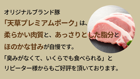 S058-020A_天草プレミアムポーク とんかつ用 ロース 8枚 約1kg
