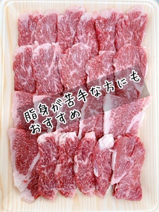 佐賀牛バラ焼肉500ｇ 100-J708