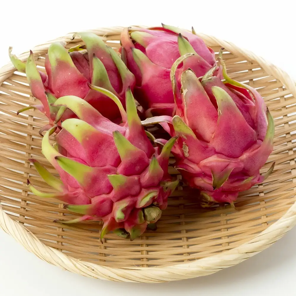 南国奄美のドラゴンフルーツ赤 約2kg（4～8玉入り）【2026年発送】 鹿児島県 奄美群島 奄美大島 龍郷町 国産 奄美産 青果 果実 果物 くだもの フルーツ デザート ピタヤ 火龍果 南国 トロピカル お取り寄せ 先行予約 期間限定 数量限定