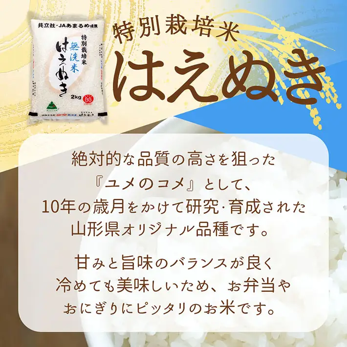 【新米受付】令和8年産 特別栽培米 はえぬき 無洗米 2kg 2kg×1袋 2026年産 ブランド米 米 国産 単一原料米 山形 庄内平野 コシヒカリの原点、亀の尾発祥の地 庄内【R8.10月以降発送開始/入金期限：2026年9月15日】