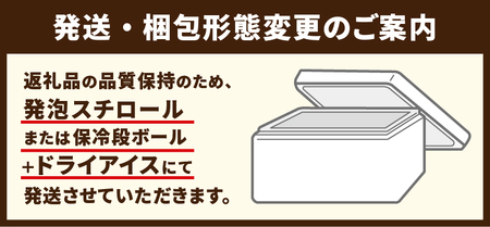 〈2026年5月発送〉【復活】季節で変わる！？チョコバッキーが必ず入る！ 人気アイスバラエティBOX 6種