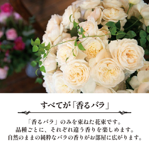 バラ 花束 ブーケ 朝摘み Mサイズ 薔薇 花 ばら 花 パフューム ローズ バラの花束 生花 ギフト 花 プレゼント 祝い 母の日 卒業式 贈り物 贈答 記念日 バラ バラ花束 バラ朝摘み 香りバラ ギフトバラ 静岡県 藤枝市 | バラ バラ バラ バラ