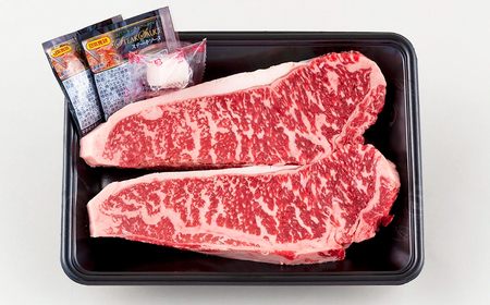 長崎県産牛サーロインステーキ(2枚) ステーキ 