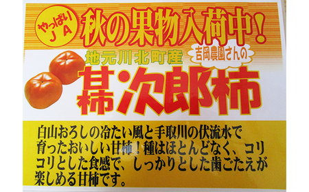 【川北町産】吉岡さんちのジロウ柿　約4kg 果物 フルーツ 果実 デザート おやつ 国産 日本産 食品 食べ物 甘柿 コリコリ 食感 歯ごたえ 石川県産 直送 産地直送 秋の味覚 