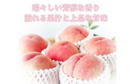 秀品　紀州和歌山産の桃　３玉　化粧箱入【2026年6月下旬より順次発送】【UT105】【uot750】