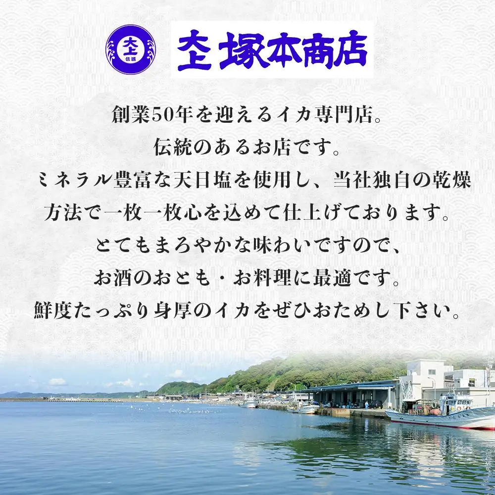 佐渡島いか専門店　いかづくしセット2