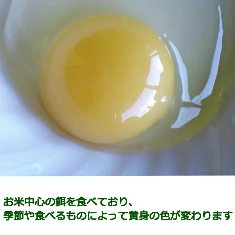ふぁーむbuffoの平飼いたまご 30個_FA090_001