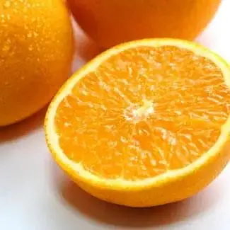 ［濃厚］有田産清見オレンジ約5kg（サイズおまかせ・青秀以上）★2027年2月下旬頃より順次発送［TM43］