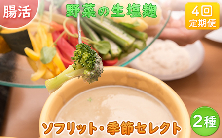 【塩麹2種×4ヶ月連続お届け 定期便】サニーサイドアップカフェ 野菜の生塩麹（ソフリット＋季節セレクト） 調味料 発酵調味料 発酵食品 万能調味料 ビタミンB 抗酸化作用 整腸作用 