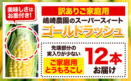 【先行予約】朝採りとうもろこし スーパースィート 「ゴールドラッシュ」 訳あり ご家庭用 12本 嶋崎農園 《2026年8月上旬-9月上旬頃出荷》