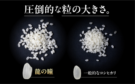 【2025年産米】3kg×1 飛騨産・龍の瞳（いのちの壱）【14-12】