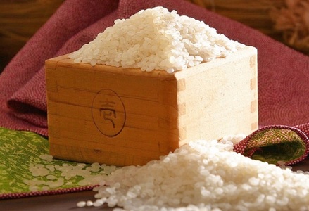 【市平】ボックス入り長狭米コシヒカリ５㎏ [0019-0008]