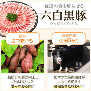 【B02104】ふるさと2選B 焼豚(約200g×4個・計800g)と餃子(12個入×10パック・計120個)のセット 鹿児島 国産 九州産 黒豚 豚肉 お肉 焼豚 餃子 冷凍 おかず ギフト 贈答 特別な日に【和田養豚】