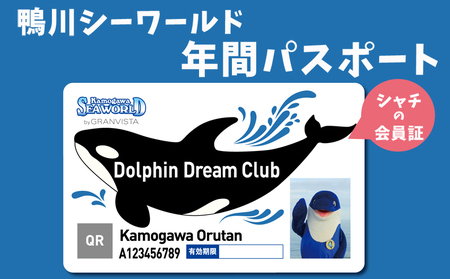 【鴨川シーワールド】年間パスポート／シニア（65歳以上） １名様　[0036-0004]