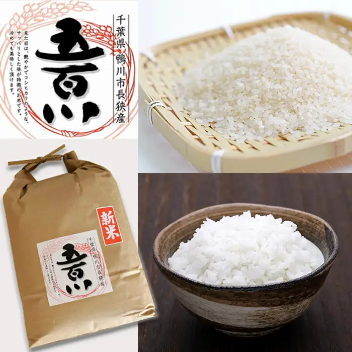 《令和７年産》【米屋新蔵】関東一の極早生米『五百川』10kg　[0032-0004]