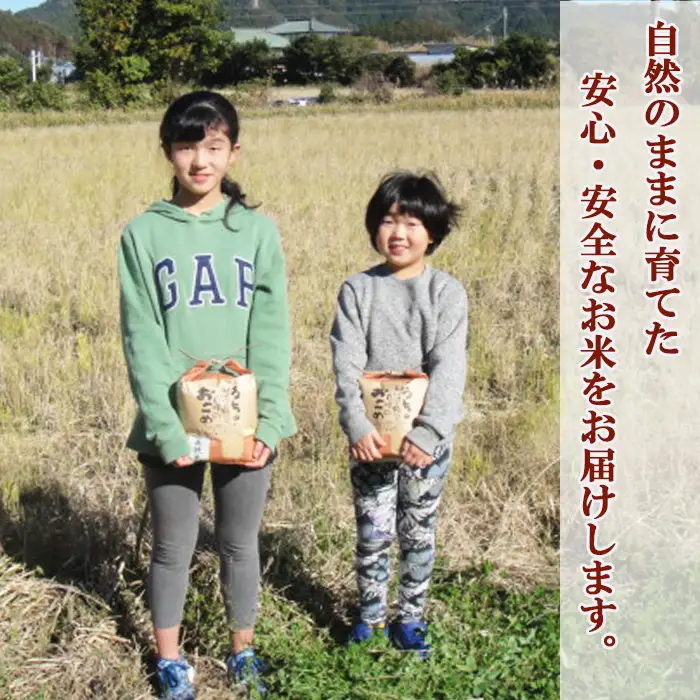 【令和８年産 新米 先行予約】孫のために作りました！『長狭米 コシヒカリ 特別栽培米』３kg《玄米》《９月中旬より順次発送》《数量限定》減農薬 減化学肥料 農家直送 玄米 白米 熟成精米 [田代農園][0015-0074]