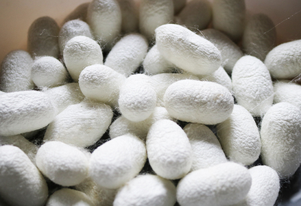 【繭灯り夢工房】シルクと押し花のランプシェード　[0020-0099]