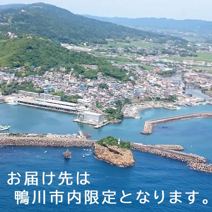 【鴨川市内限定】見守り訪問サービス『Yakult（ヤクルト）1000』７本×９週間　[0030-0106]