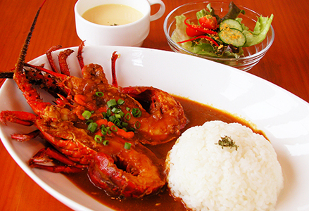 【天然伊勢海老入り】おうちで簡単！本格『伊勢えびカレーセット』 １人前　[0011-0081]