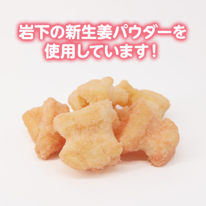 青木煎餅 岩下の新ショウガ味2個セット｜揚げおかき 2個 岩下の新生姜パウダー使用 専門店の揚げおかき [0626] 