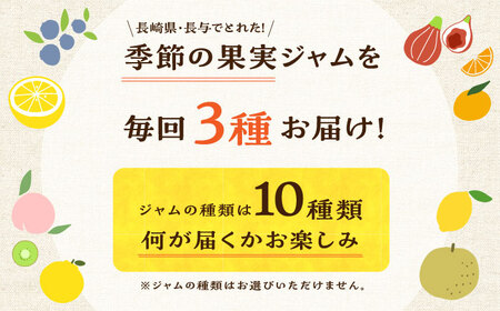 【3回定期便】季節の果実ジャム 3個（各120g） 長与町/アグリューム [EAI089]  瓶 セット ジャム