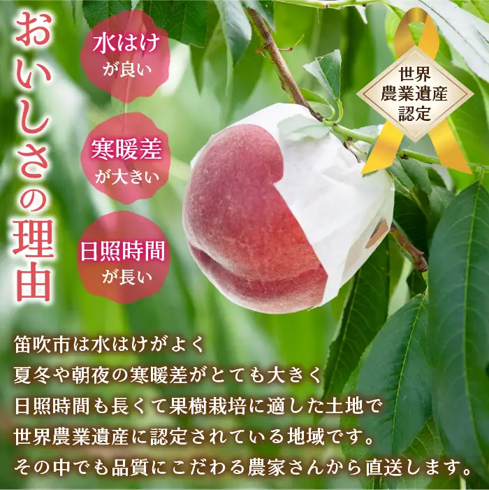 【2026年発送★先行予約】笛吹市産　厳選! 旬の桃 約2kg (5～8玉) 205-001