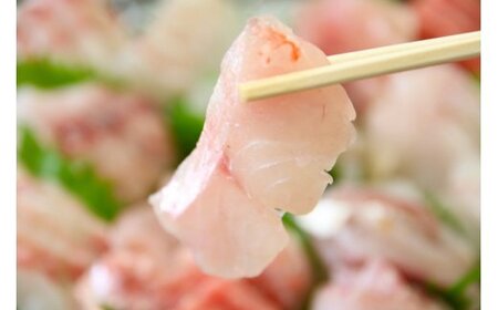 [日時指定必須]すぐ食べられる！地魚刺身盛り合わせ４～５人前 [0022-0005]